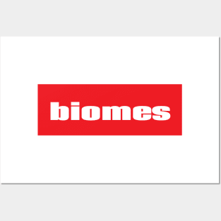 Biome Biomes Regions Characteristics Vegetation Temperature Resources Biotic Community Posters and Art